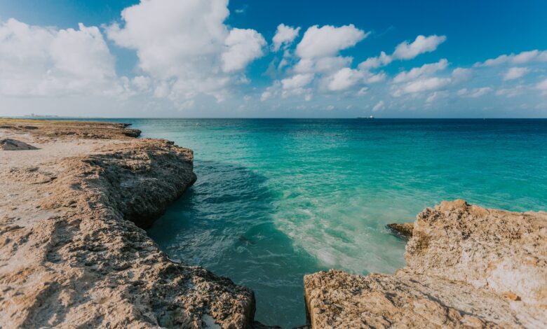 Aruba es reconocida como Reserva de la Biosfera por la UNESCO