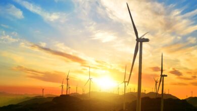 Crecimiento de energías renovables impulsa la demanda de cables de media tensión eficientes