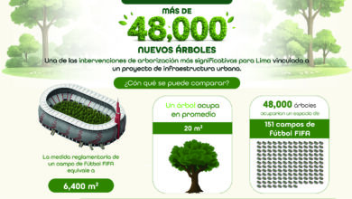 lima ganará más de 48 mil nuevos árboles con la estrategia ambiental del anillo vial de lima y callao