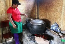 Energía limpia y salud pública: más del 20% de hogares rurales aún cocina con leña