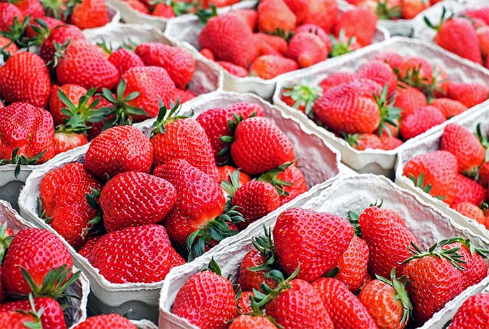 EE.UU. es el primer comprador de fresa peruana