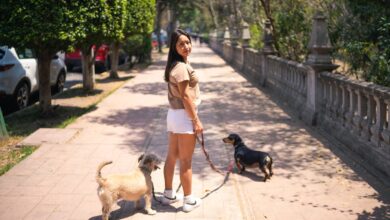 La conversación digital abre una oportunidad a las marcas de mascotas en el mercado peruano