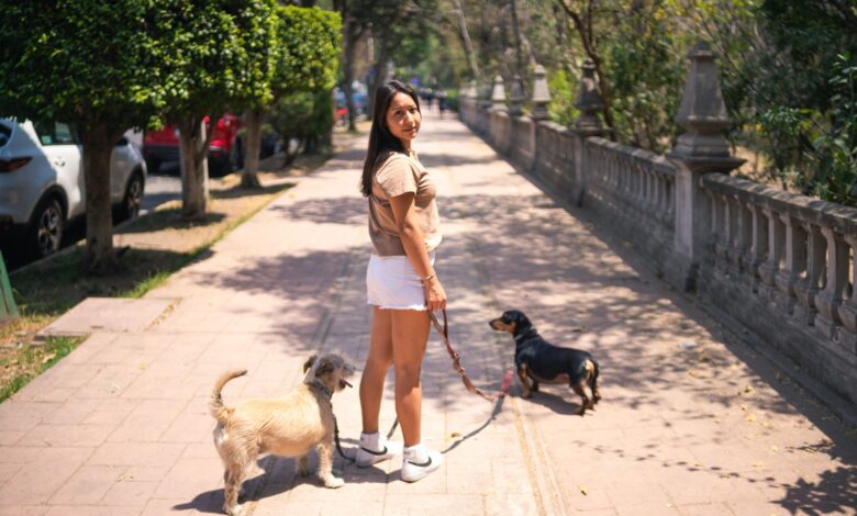 La conversación digital abre una oportunidad a las marcas de mascotas en el mercado peruano