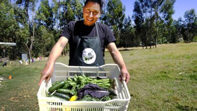 Proyecto de WHH en Áncash impulsa a más de 200 productores a mejorar sus cosechas con prácticas agroecológicas