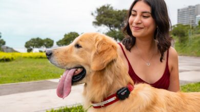 Hunter Perú ingresa al mercado de mascotas con Hunter PET, un nuevo ecosistema tecnológico de protección y bienestar animal