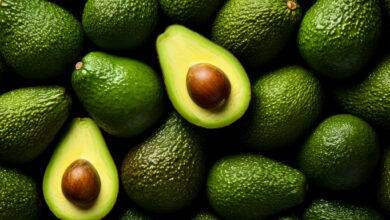 MIDAGRI: Productores de Áncash comercializan 54.66 toneladas de palta Hass a la agroindustria