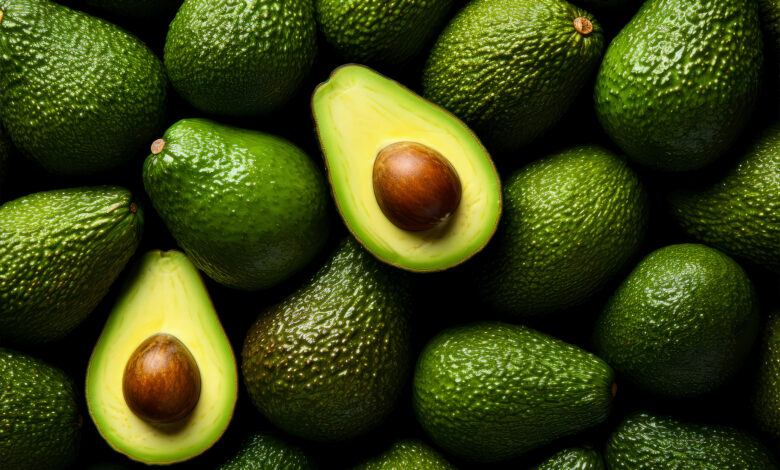 MIDAGRI: Productores de Áncash comercializan 54.66 toneladas de palta Hass a la agroindustria