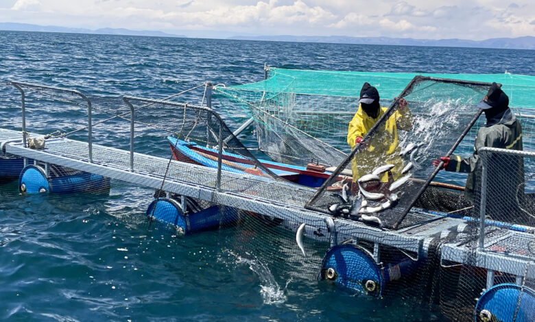 Sanipes publica nueva lista de mercancías con análisis de riesgo favorable para ingresar al país
