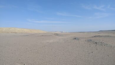 Grupo Enhol obtiene la aprobación ambiental para la optimización del Parque Eólico Céfiro en Perú