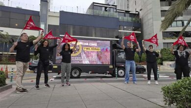 El debate por huevos libres de jaulas se reaviva en Perú en medio de la crisis por gripe aviar