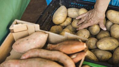 América Latina y el Caribe concentra 1 de cada 5 pérdidas mundiales de alimentos antes de llegar al comercio