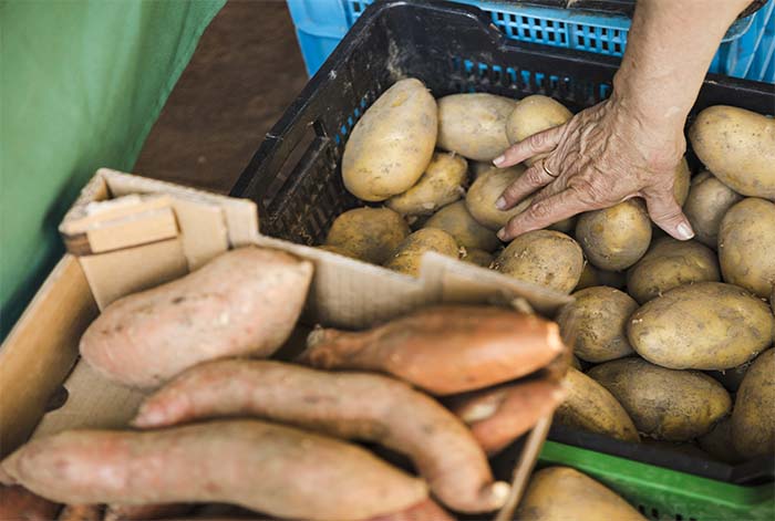 América Latina y el Caribe concentra 1 de cada 5 pérdidas mundiales de alimentos antes de llegar al comercio