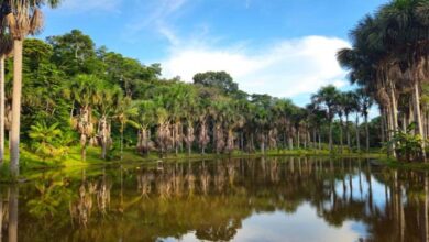 Perú cierra un financiamiento pionero que llevará energía continua a comunidades rurales de la Amazonía peruana