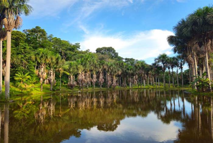Perú cierra un financiamiento pionero que llevará energía continua a comunidades rurales de la Amazonía peruana