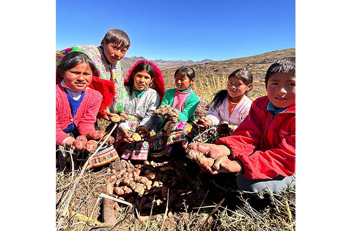Escolares, agricultores e investigadores podrán convertirse en Guardianes de las Papas Nativas del Perú
