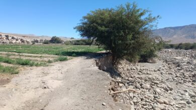 ANA culmina recopilación de información técnica de más de 20 puntos críticos en Caravelí