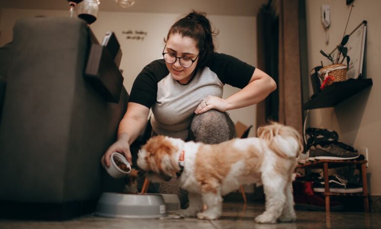 ¡Mi mascota no quiere comer! Expertos explican las causas de la pérdida de apetito en perros y gatos