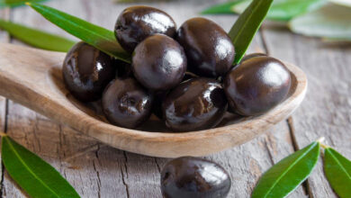 MIDAGRI: exportaciones peruanas de aceitunas y derivados sumaron US$ 30,8 millones en el primer semestre de 2026