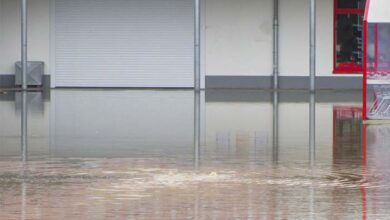 Fenómeno El Niño y lluvias intensas: cuatro medidas para proteger tu negocio