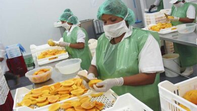 Del total de empresas exportadoras a agosto, el 88.5% fueron Mypes