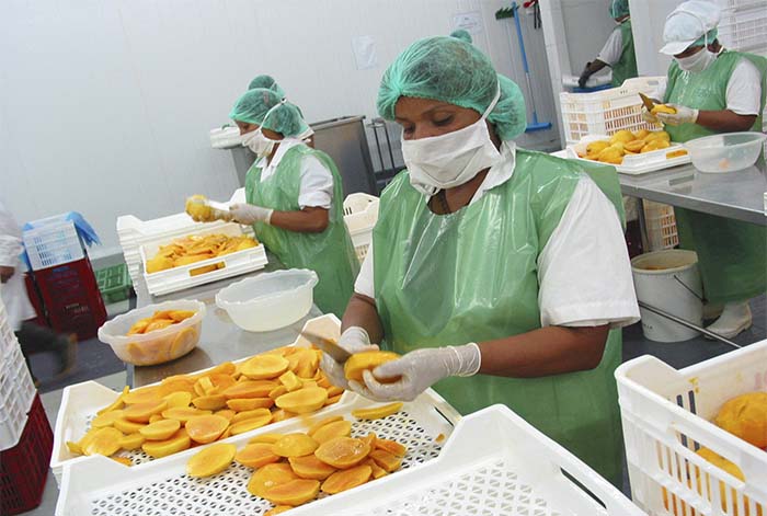 Del total de empresas exportadoras a agosto, el 88.5% fueron Mypes