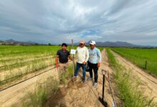 Startup impulsada por ProInnóvate optimiza el riego agrícola para incrementar el valor exportable de las frutas